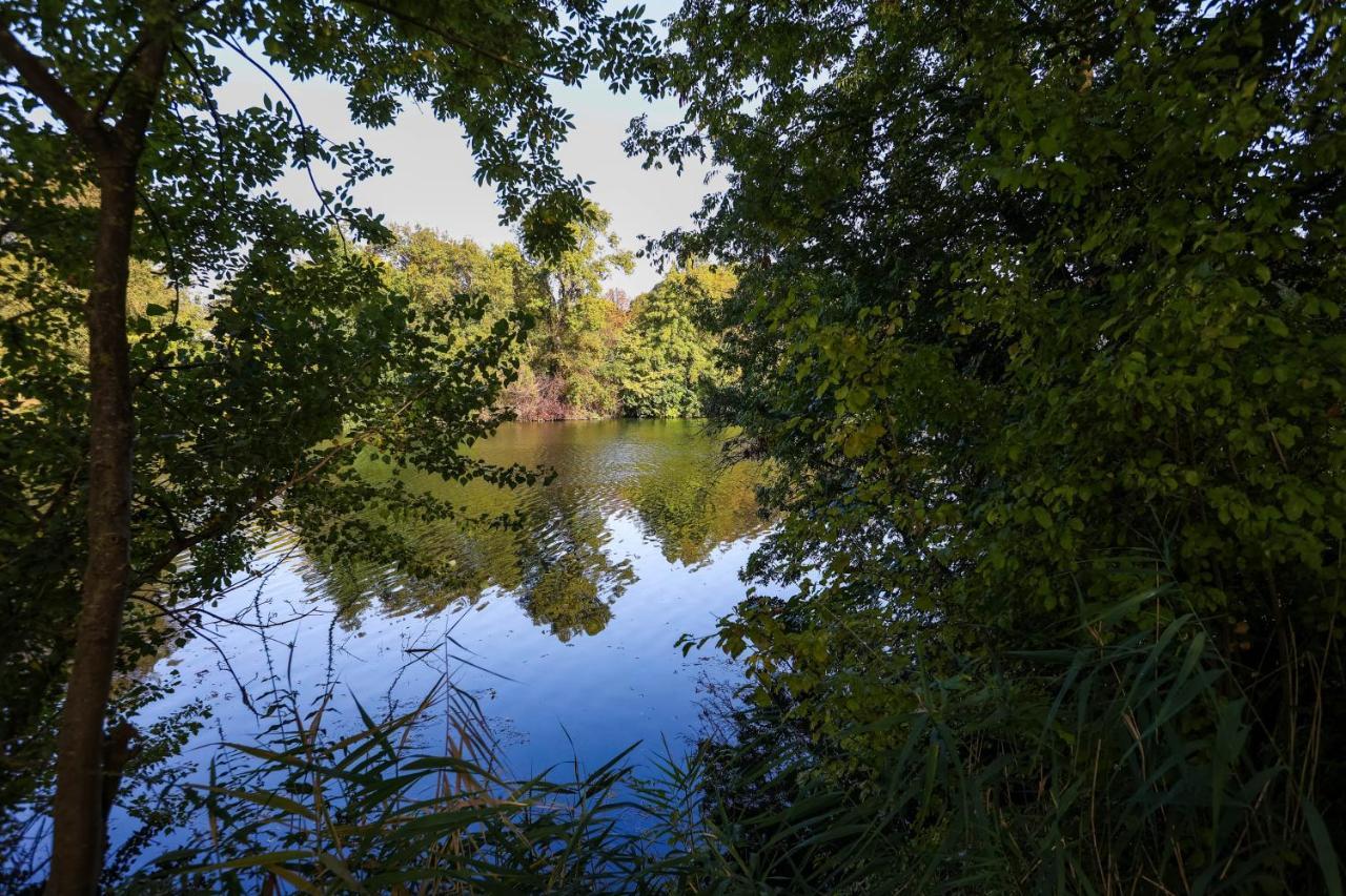Le Saint Martin #Centre Ville #Charente #6Pers Cognac Dış mekan fotoğraf